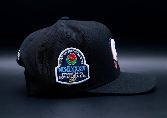 Philly STS Snapback