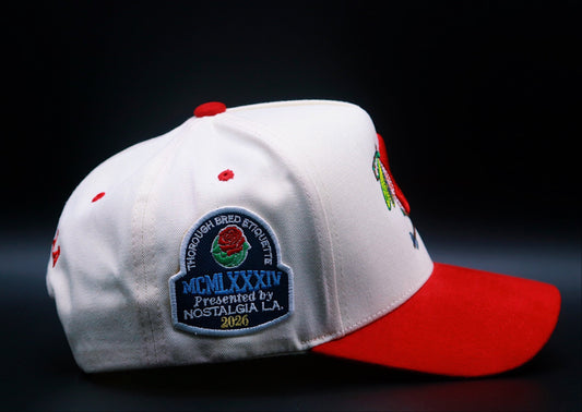 Chicago CubHawks STS Snapback