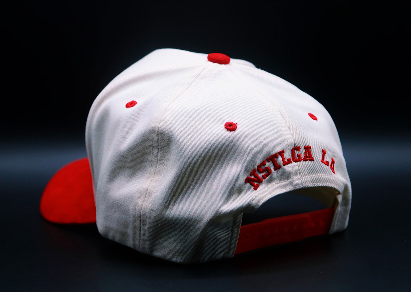 Chicago CubHawks STS Snapback